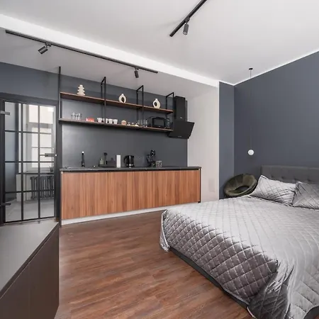 Mucenieku Loft Studio Dzīvoklis Riga
